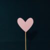 Asia’s First Bloodless Heart Transplant Successfully Performed in Marengo CIMS Hospital Asia’s First Bloodless Heart Transplant Successfully Performed in Marengo CIMS Hospital